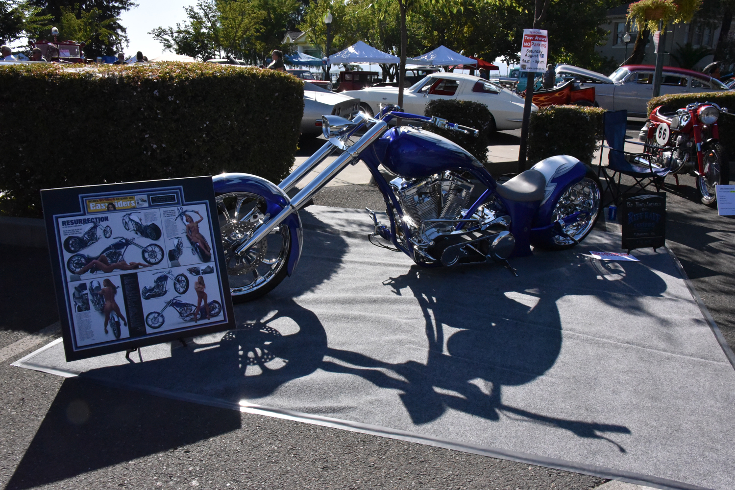 DSC_2426.jpg