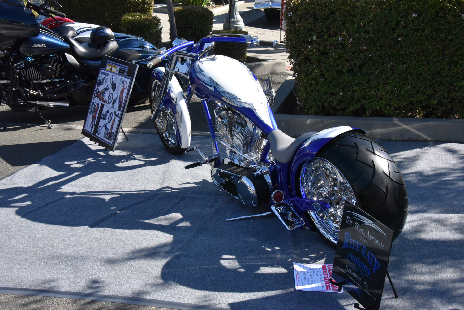 DSC_2432.jpg