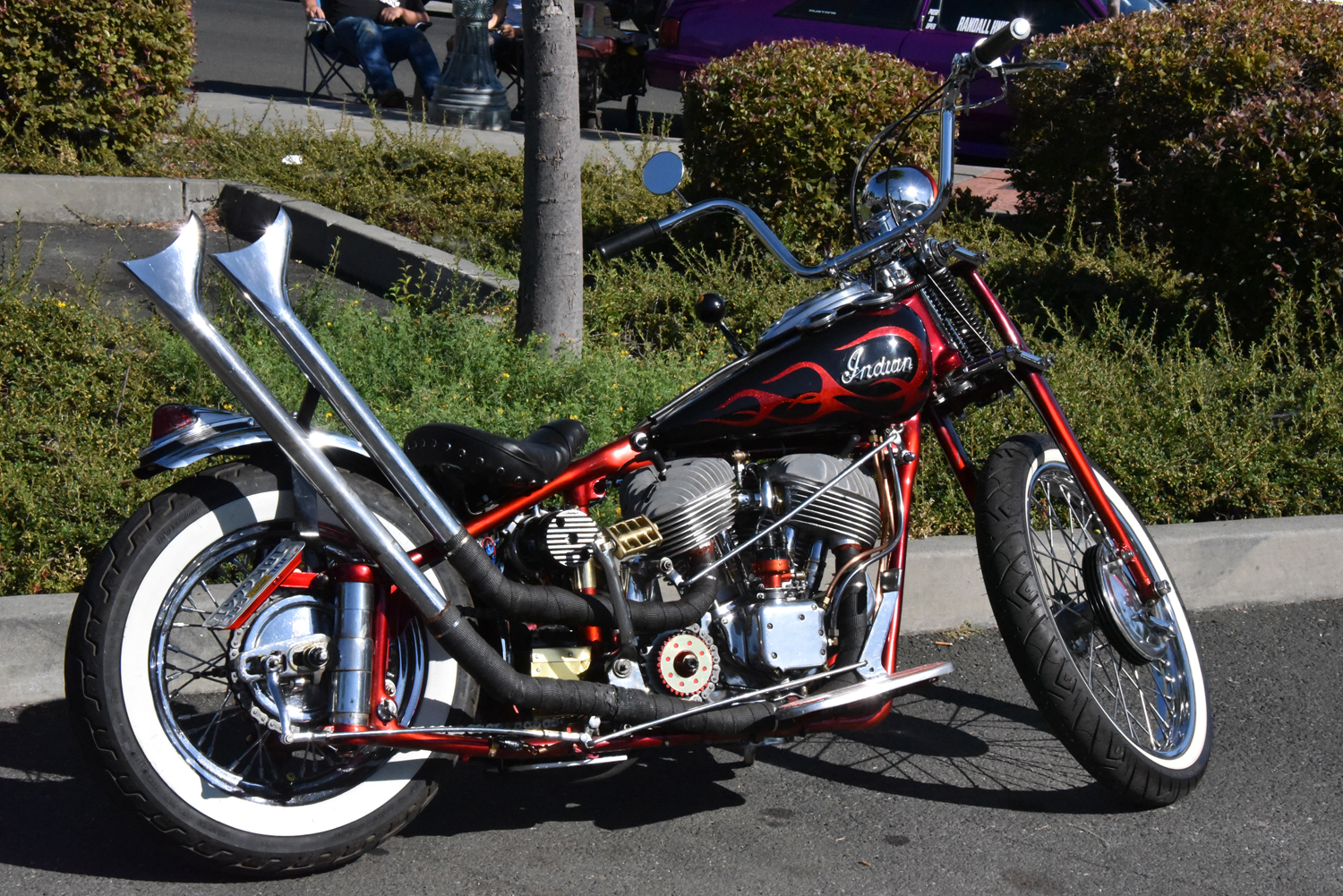 DSC_2440.jpg
