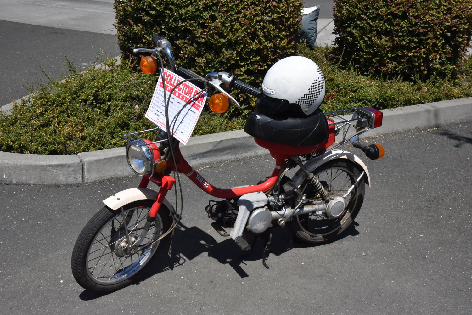 DSC_2547.jpg
