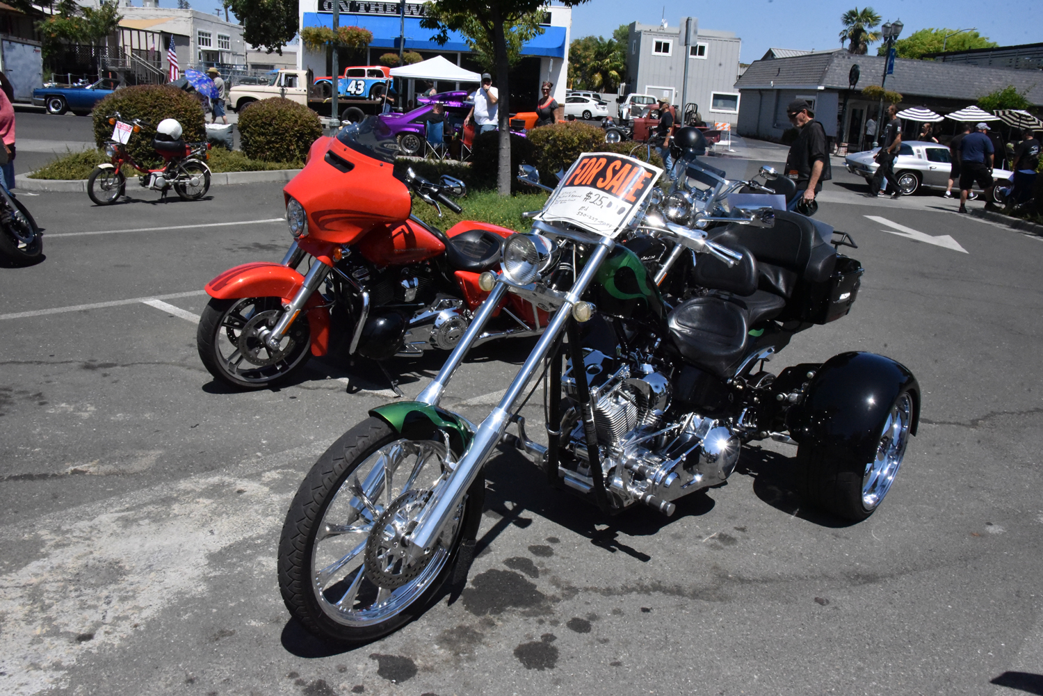 DSC_2548.jpg