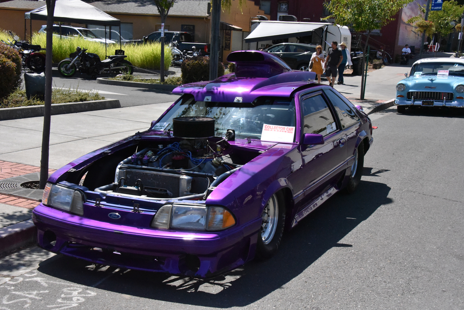 DSC_2641.jpg