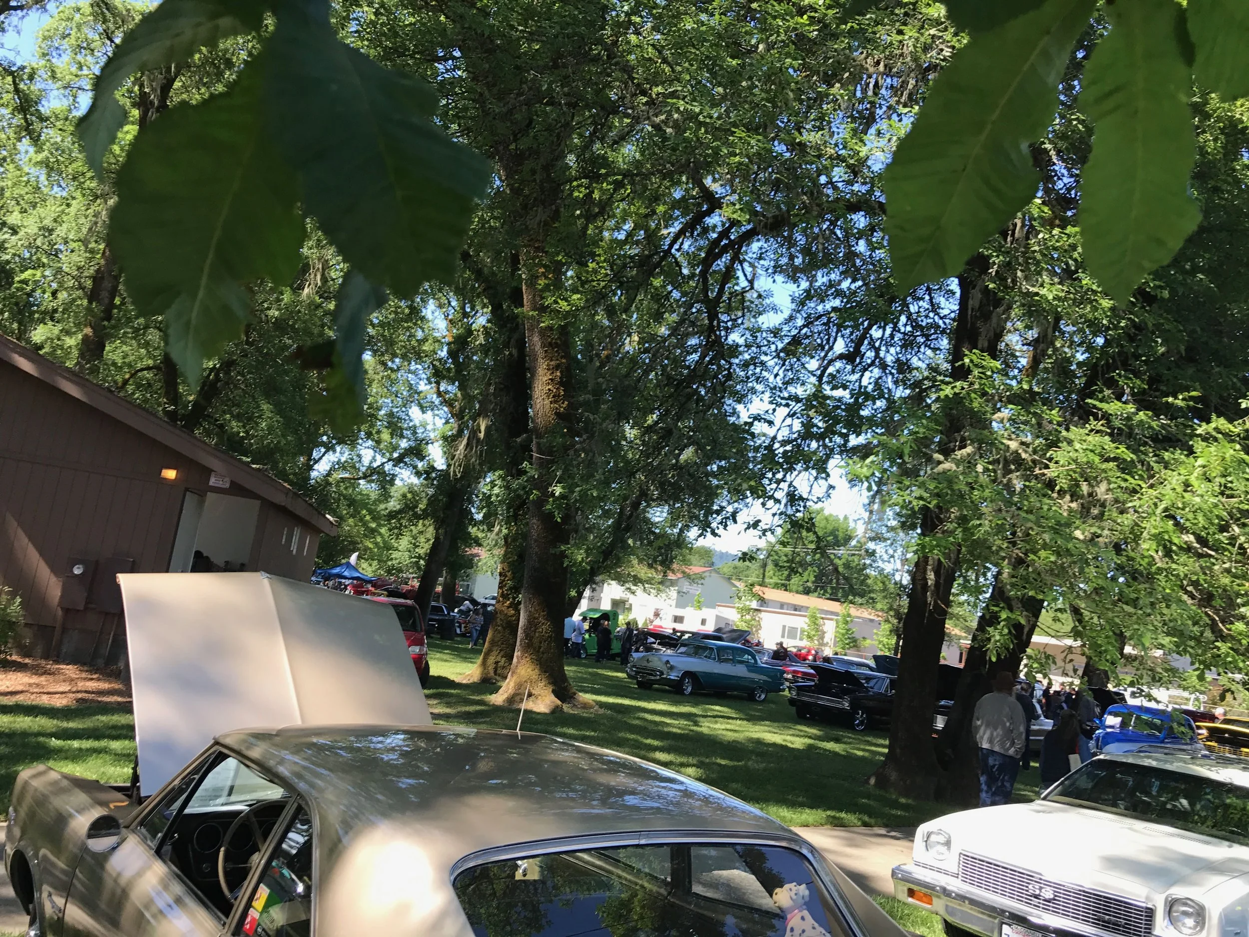 Willits Car Show - 2.jpeg