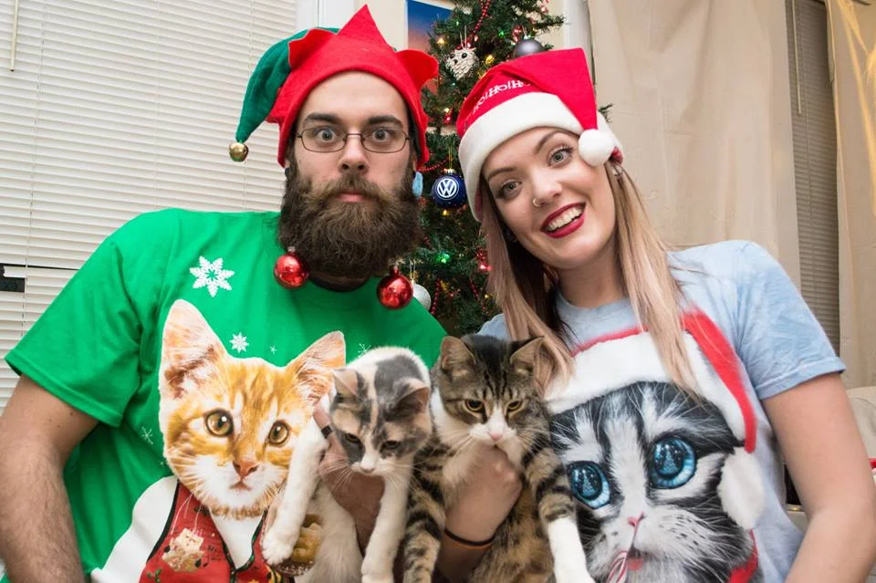 2014 Awkward Cat Family
