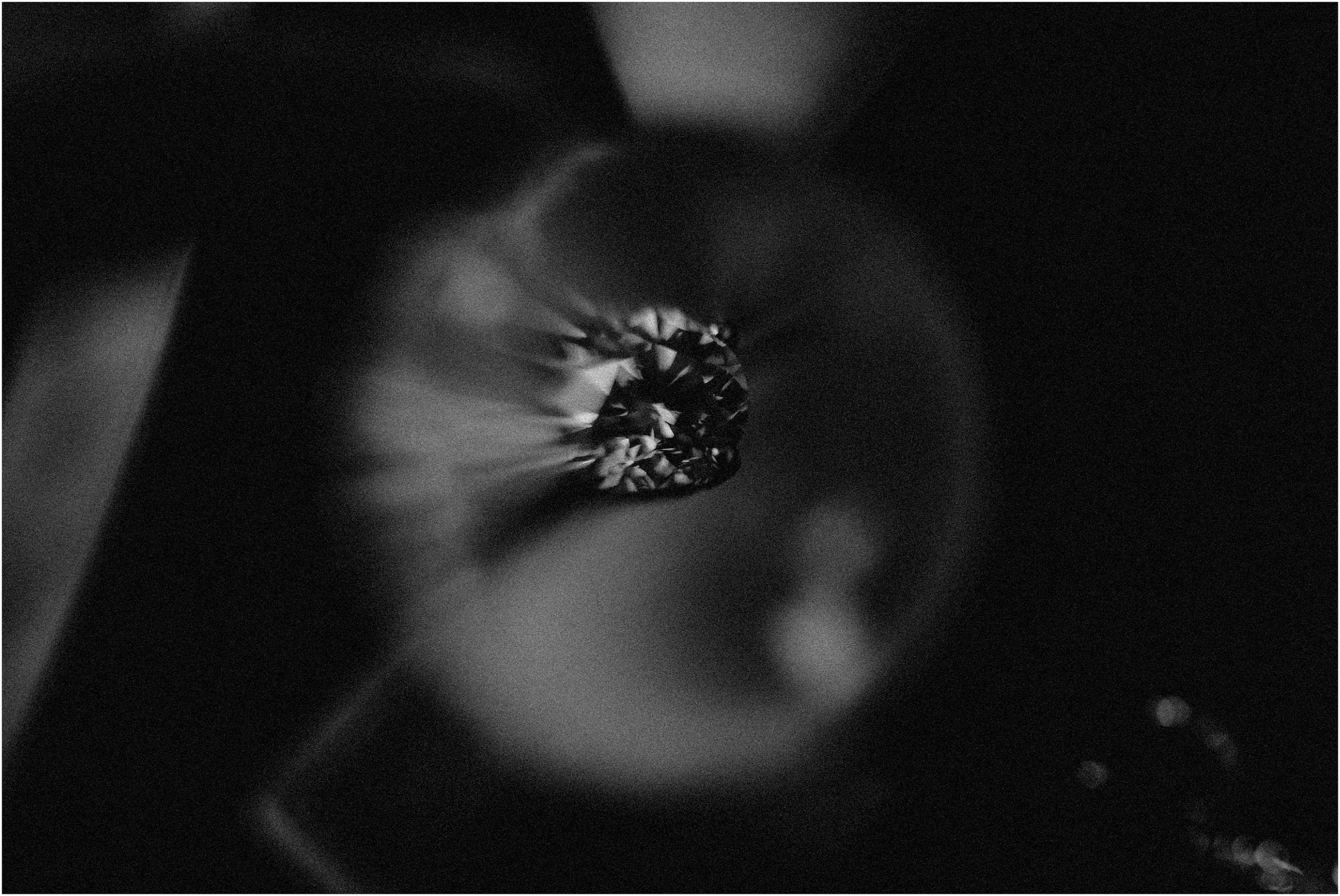Creative macro engagement ring detail image