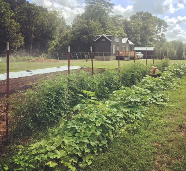 Introducing West Glow Farm!