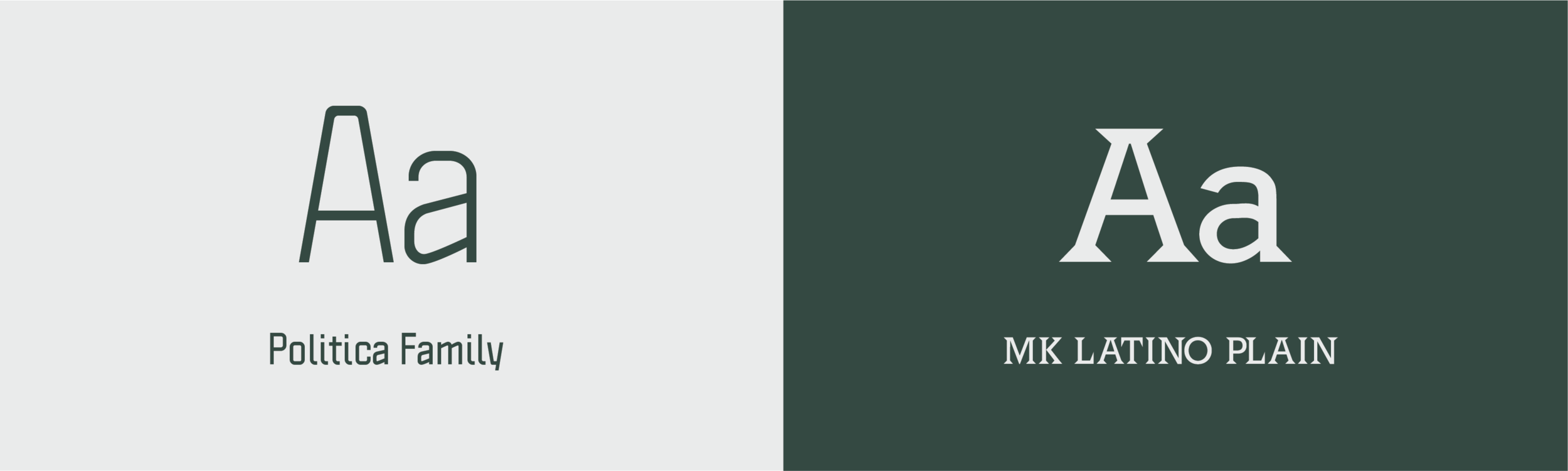 CaseStudyBrandBoard_Coleys_CaseStudy-Typography.png