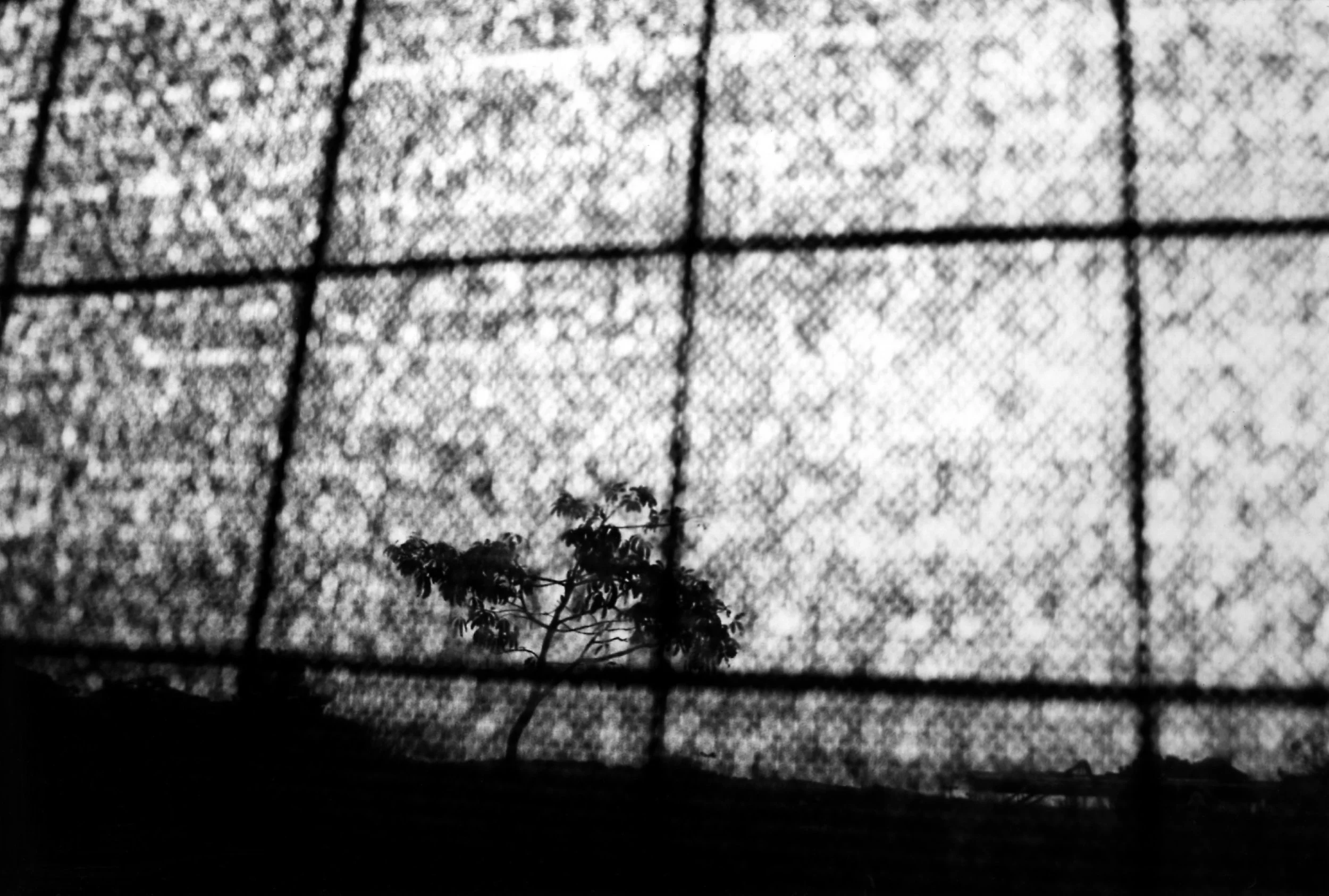 06_MARIAGUERBEROF_BUENOS AIRES UNDER SIEGE_©MARIAGUERBEROF_06 .jpg