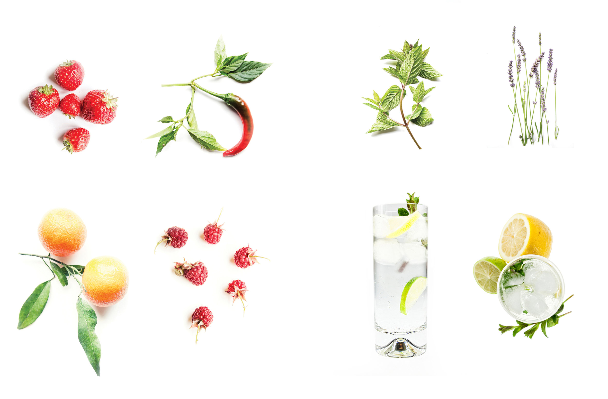 Ana’s own professional photography features in the Gordon Castle design range, notably the unique gin bottle design showing herbs collected from the Walled Garden. The look and feel of Gordon Castle's website, publicity material and online shop were also developed in line with the exclusive product range.