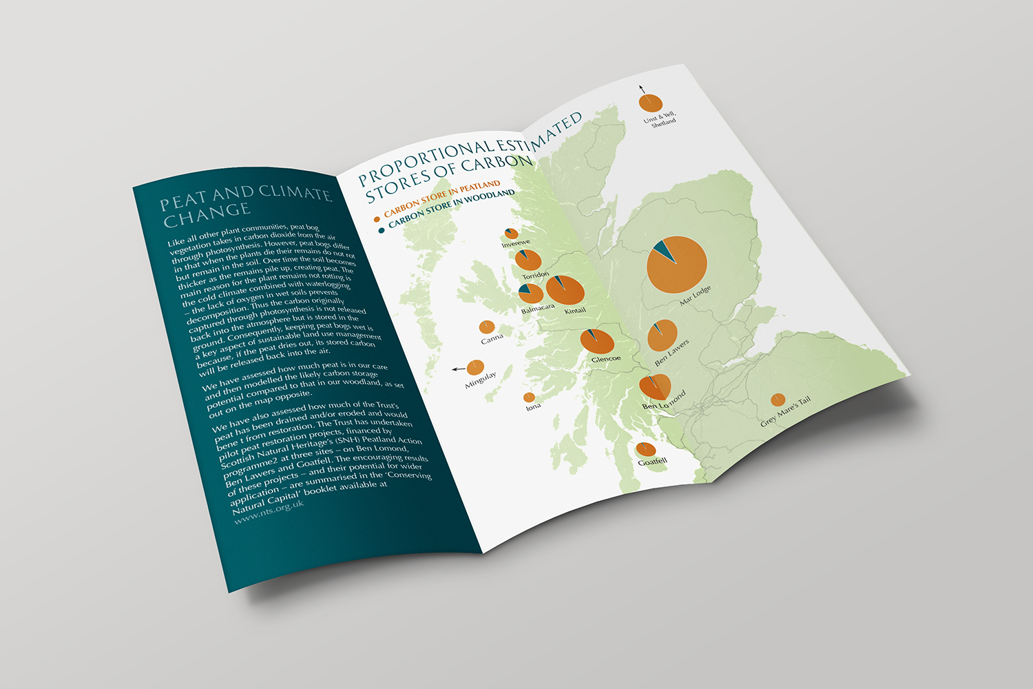 nts-publication-website5.jpg