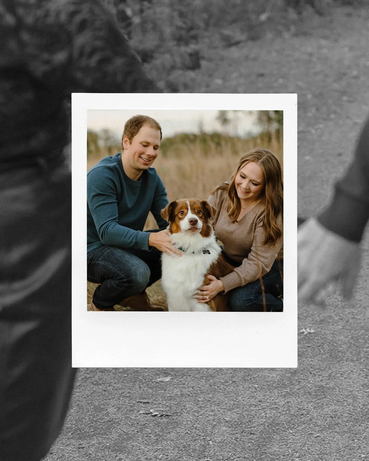 Engagement season 📸👏🏻 
&amp; Gibbs understood the assignment 🐶 
Congrats to K + G! 

#mnweddingphotographer #mnengagement #minneapolisweddingphotographer #stpaulweddingphotographer