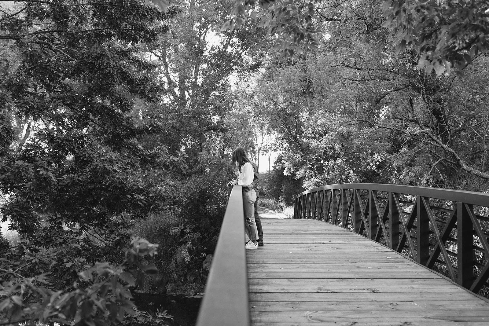 Picnic Engagement Photos at Rice Creek Park, Shoreview — Bridget ...