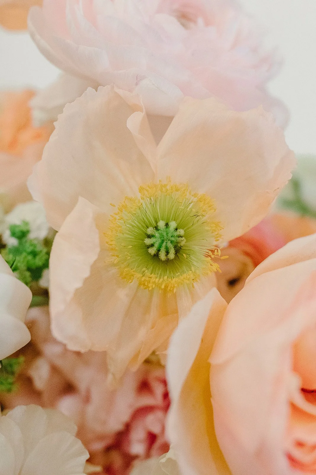 ranunculus brides bouquet