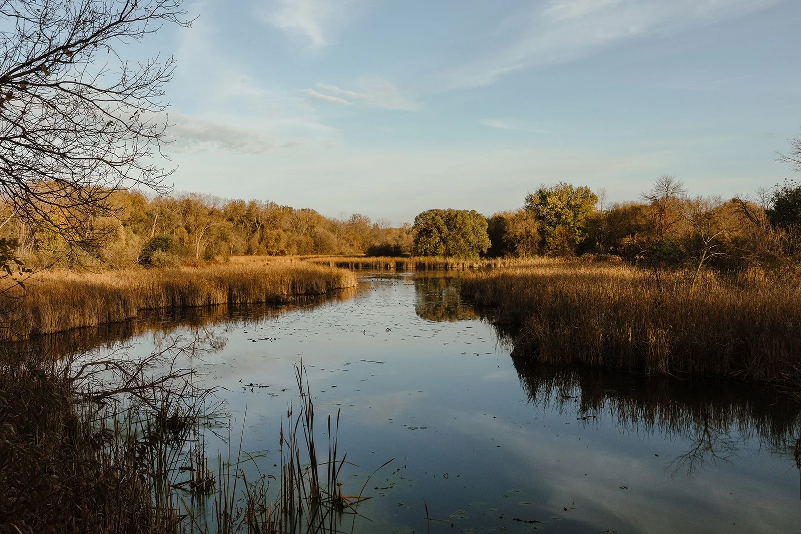 engagement photos at french regional park