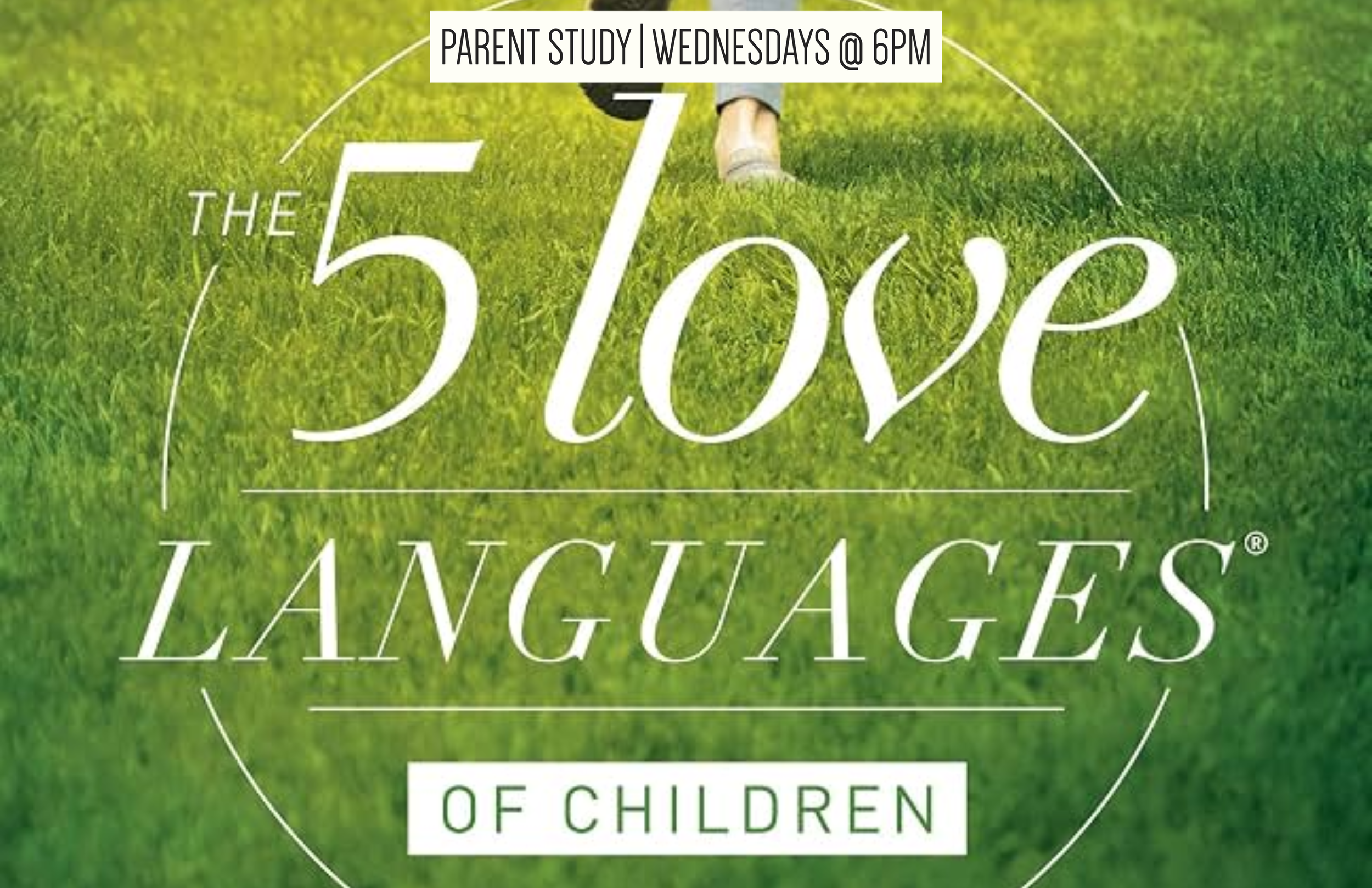 Wednesday studies April 15-2.png