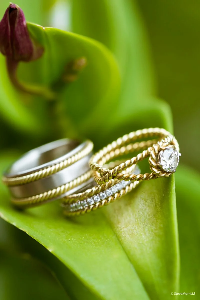 Twisted Wire Bands