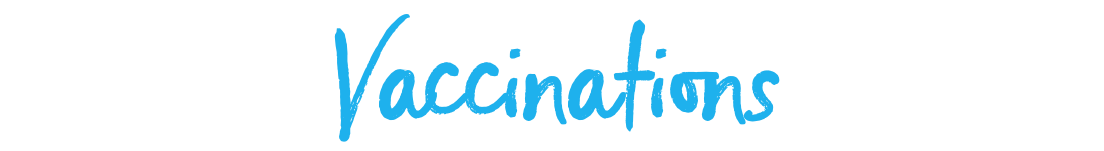71ceea51-e474-45e2-9f53-05cdbc919d01.png