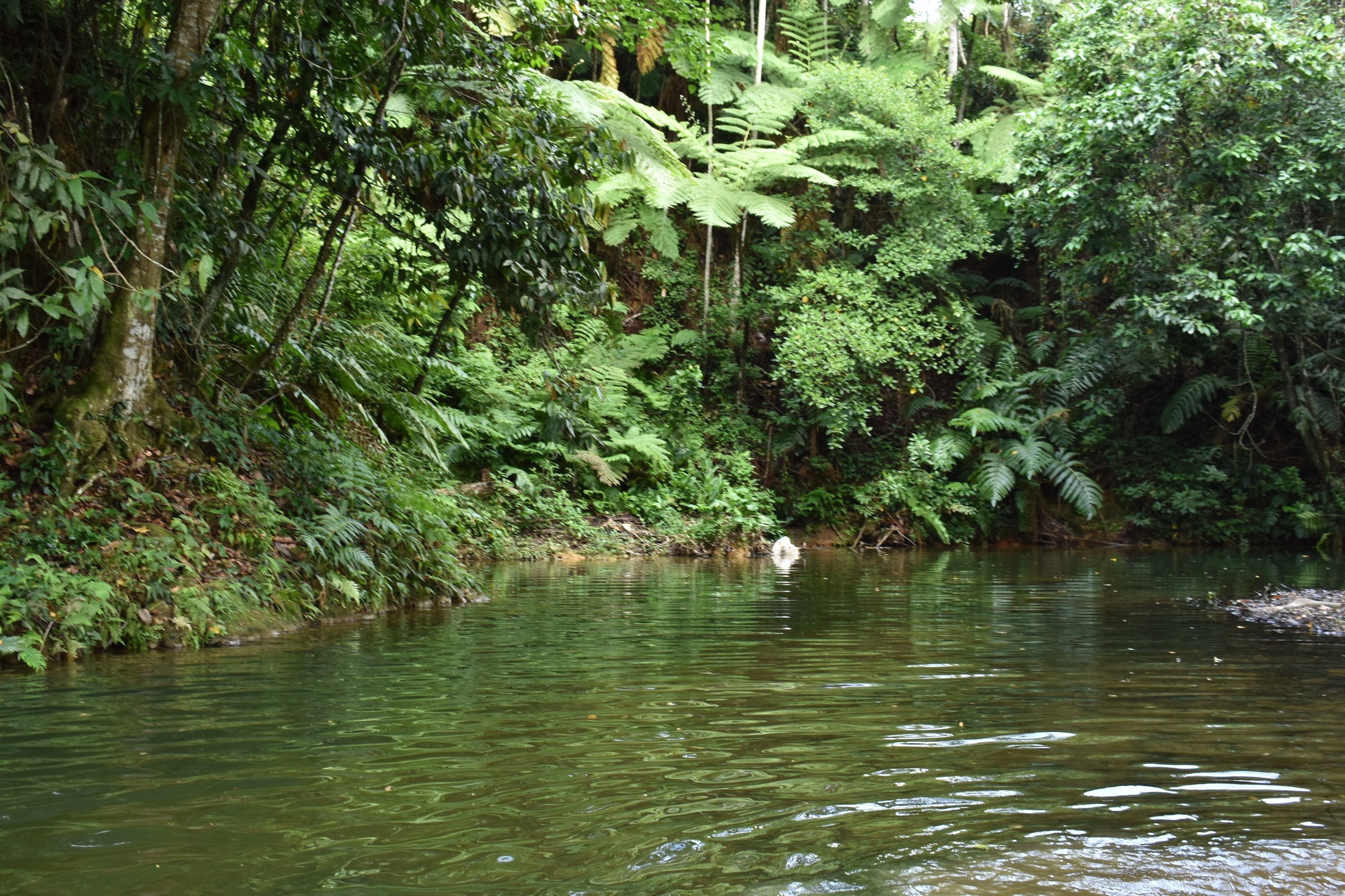DSC_0997.jpg