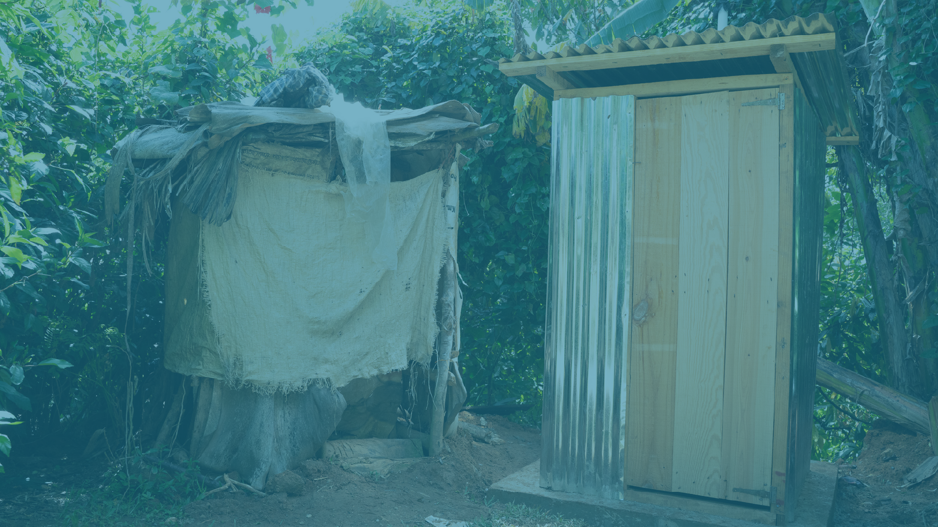 service trips 2026 - sanitation-01.png
