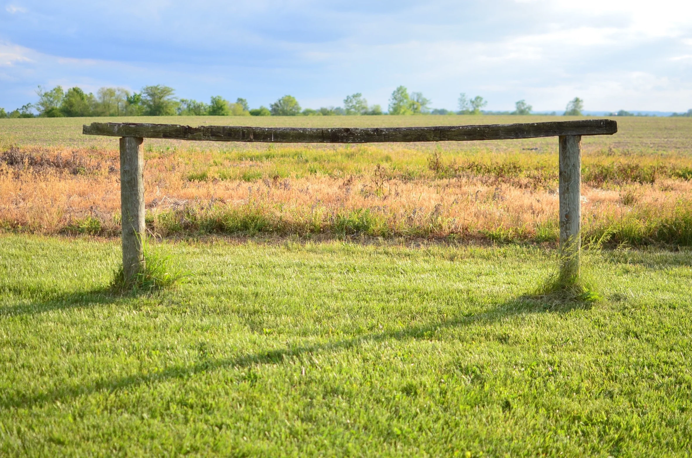 Three Poems from Ed Skoog