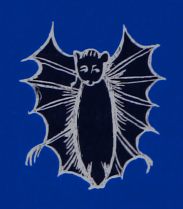 Twinkle Twinkle Little Bat
