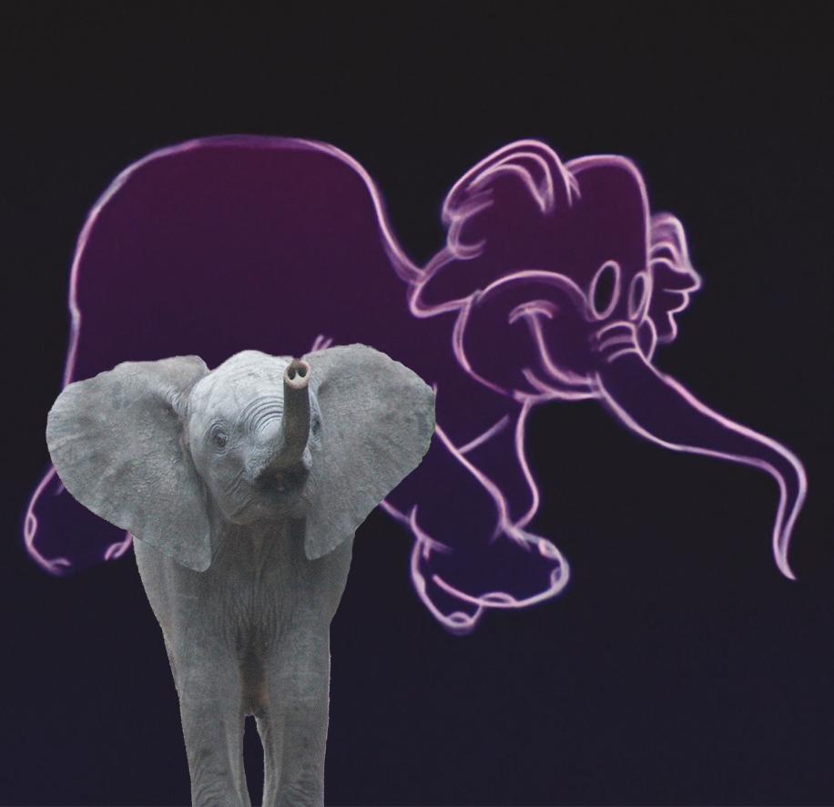 Elephants