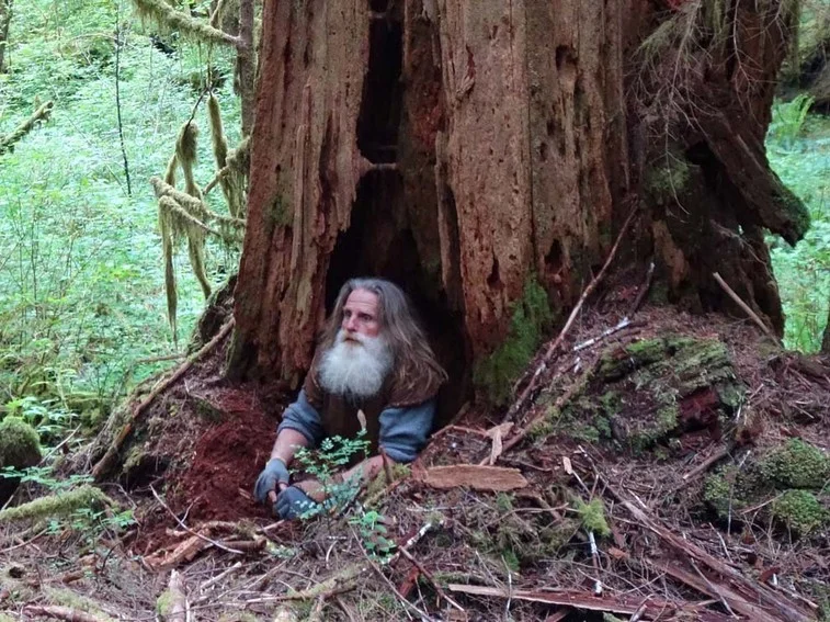 Mick Dodge