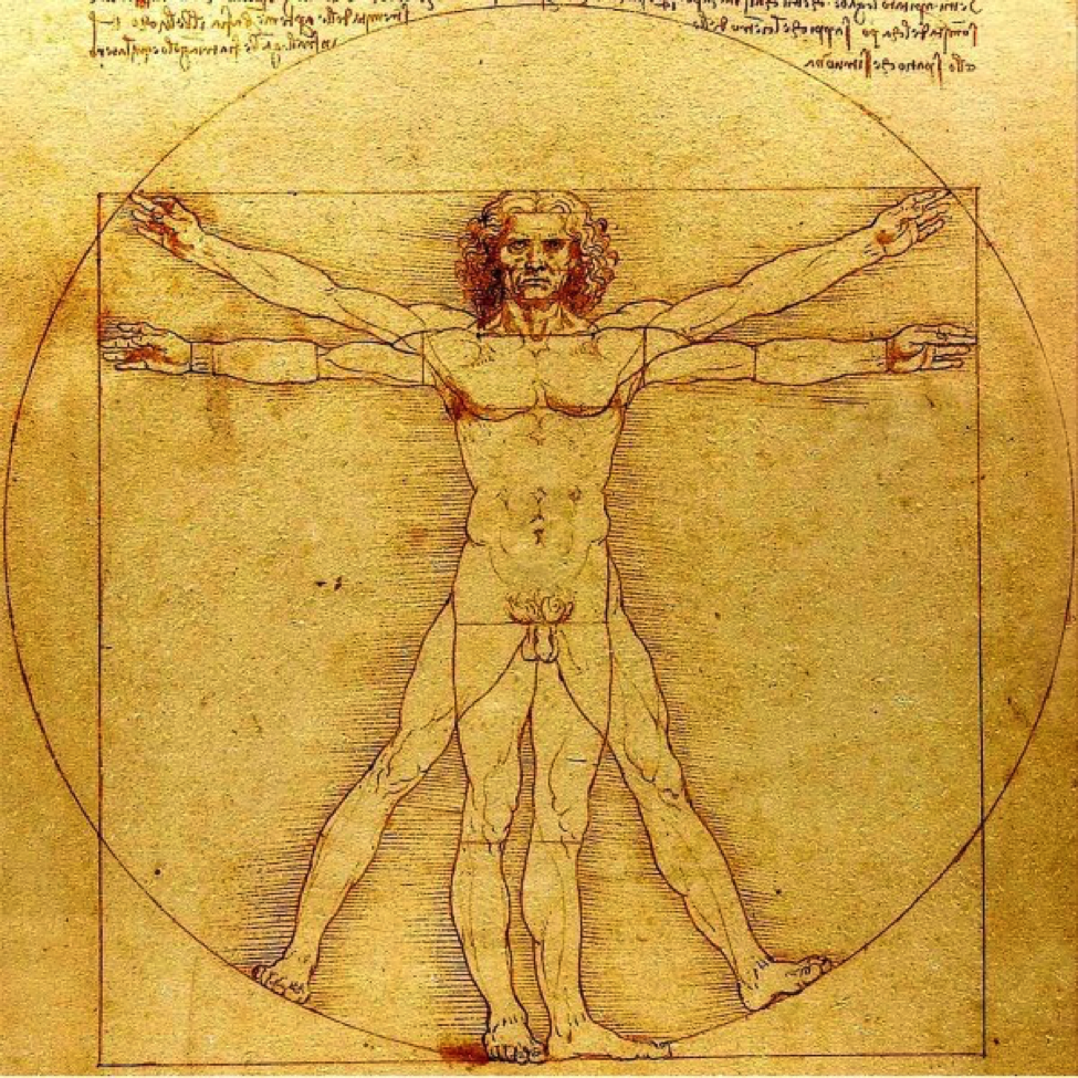 Sorry, Leonardo Was Correct (Again!): The Body Is a Perfect Machine