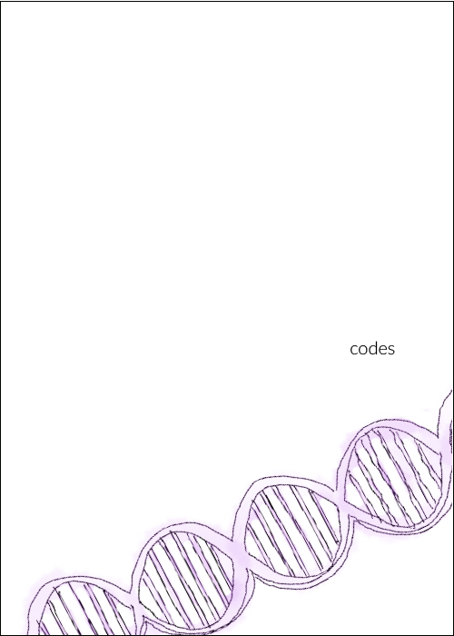 Turnips Codes WEB.png