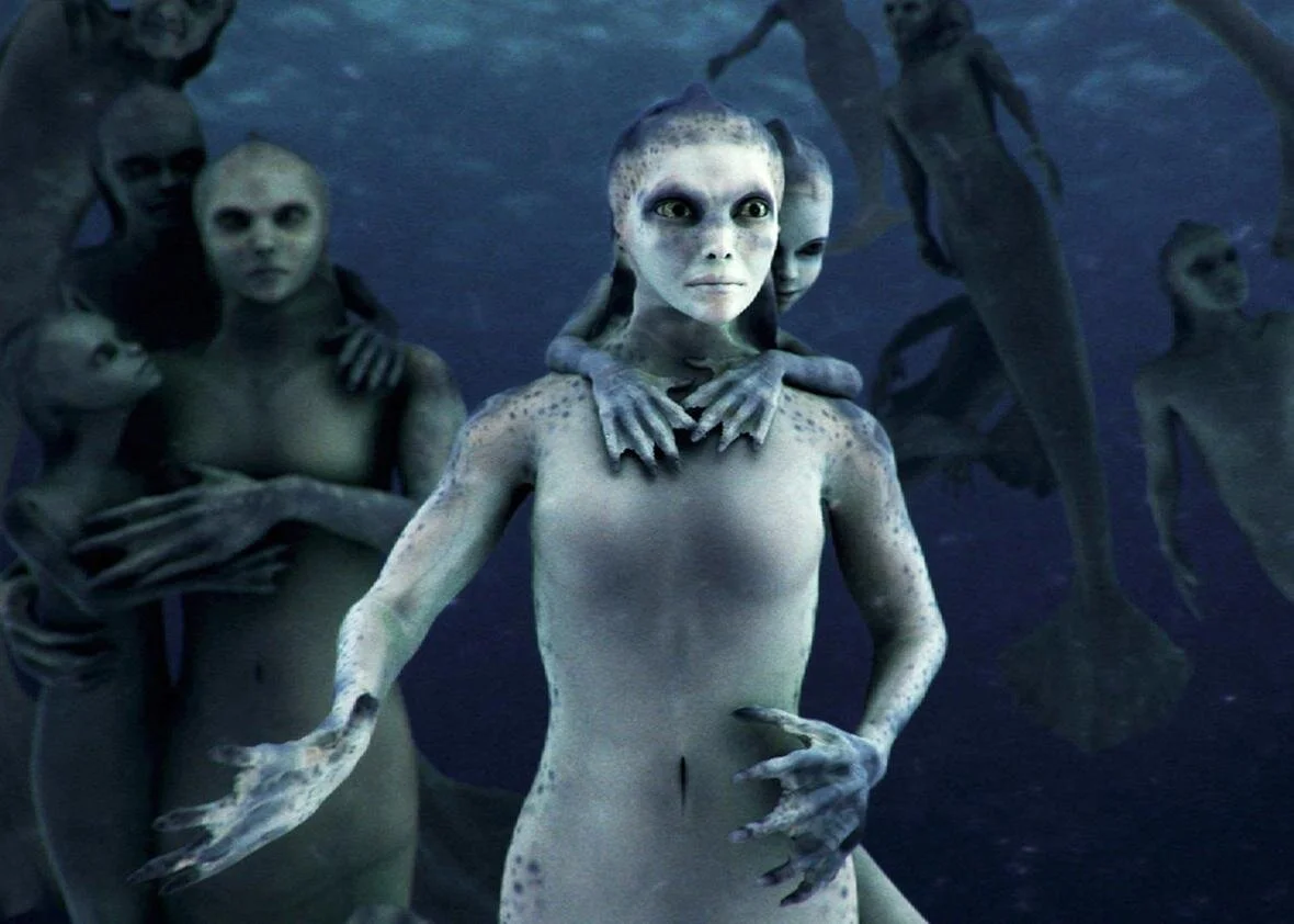 The Siren ‘Bloop’