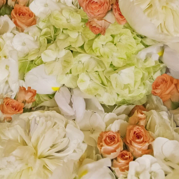 Hydrangea.Roses.jpg