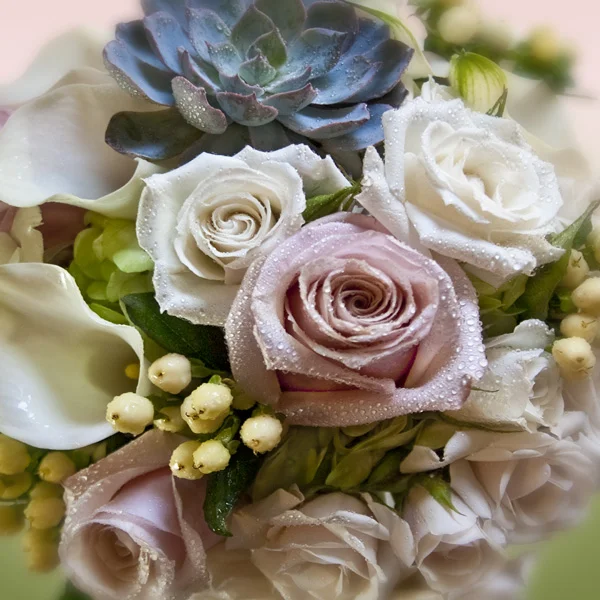 Roses1.jpg