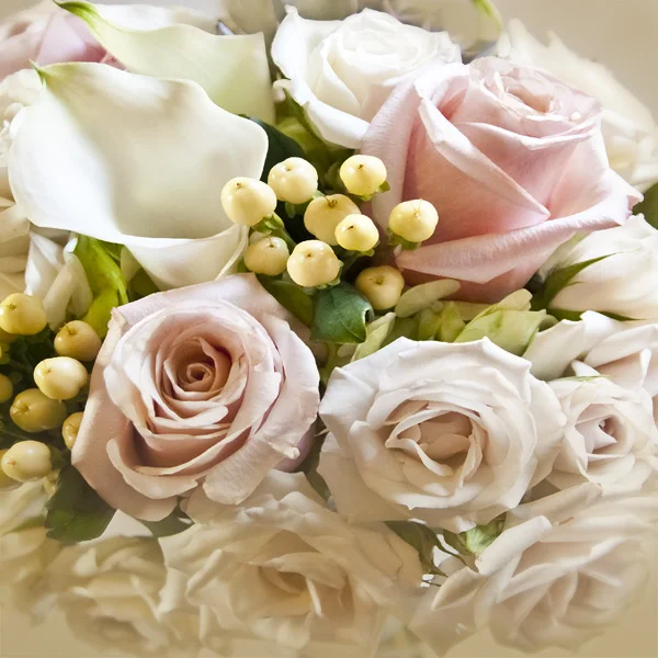 Roses2.jpg