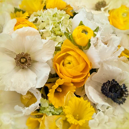 YellowFlowers.jpg