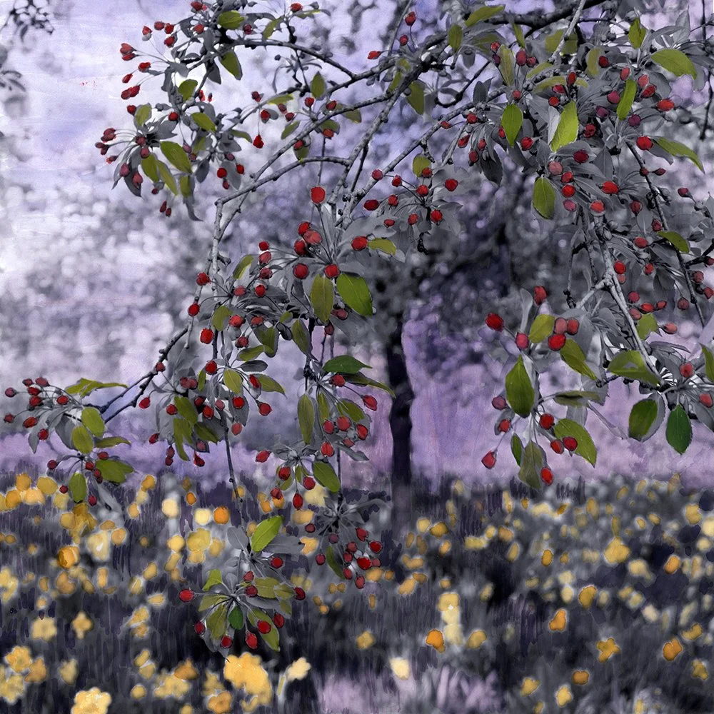 Budding