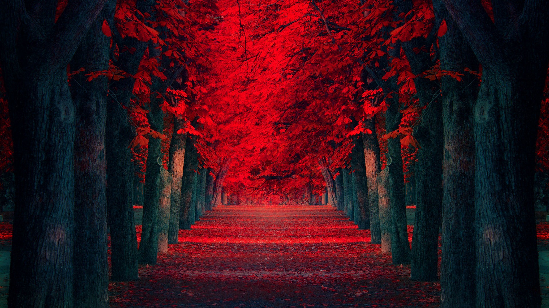black-trees-red-leaves-alley.jpg
