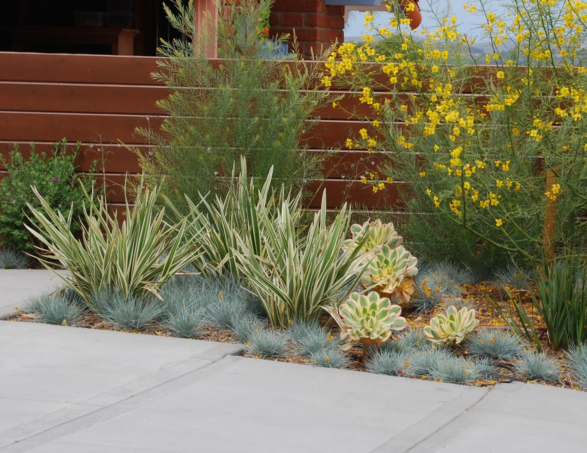 DSC_0009 - Version 2.jpg