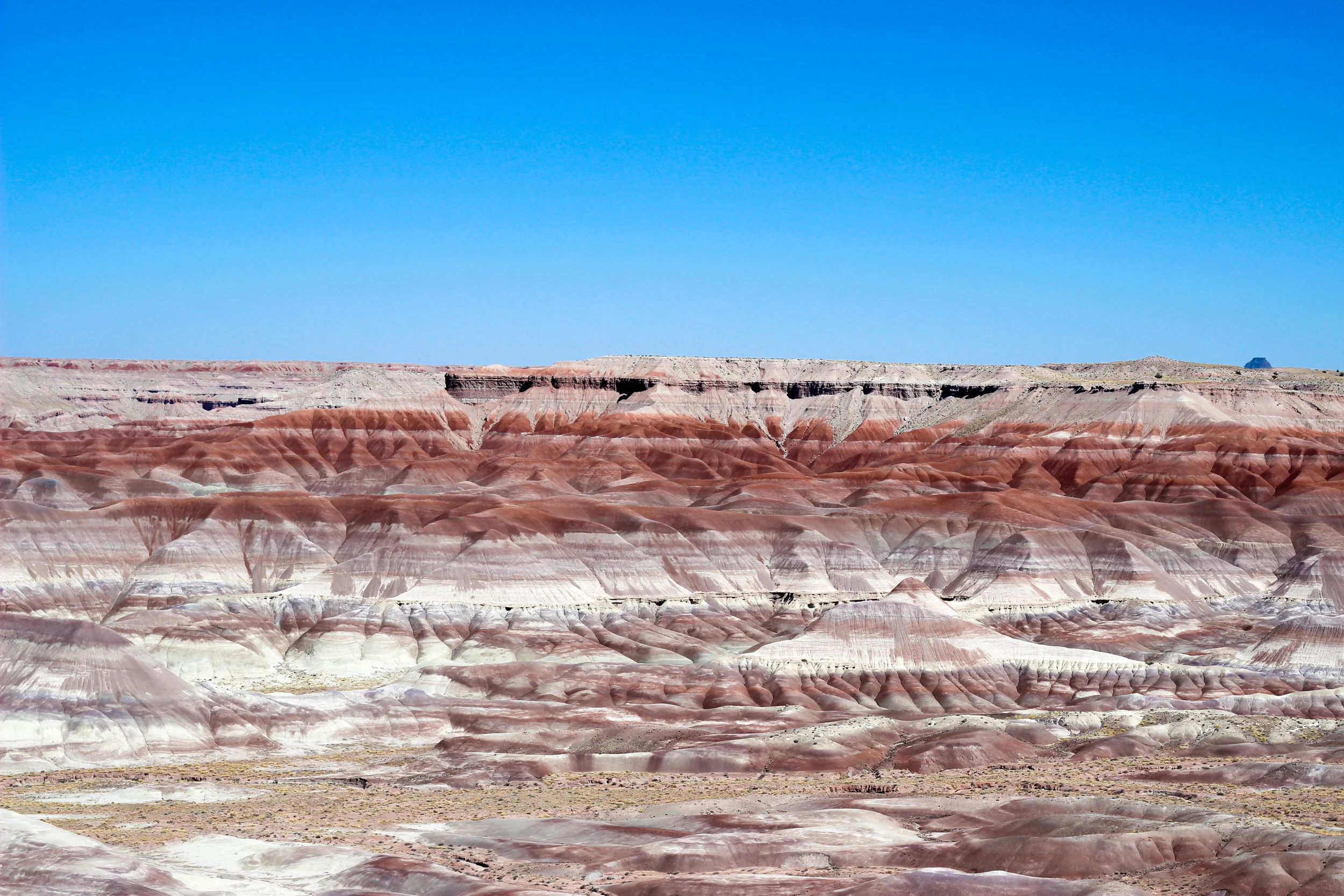 Winslow, AZ 