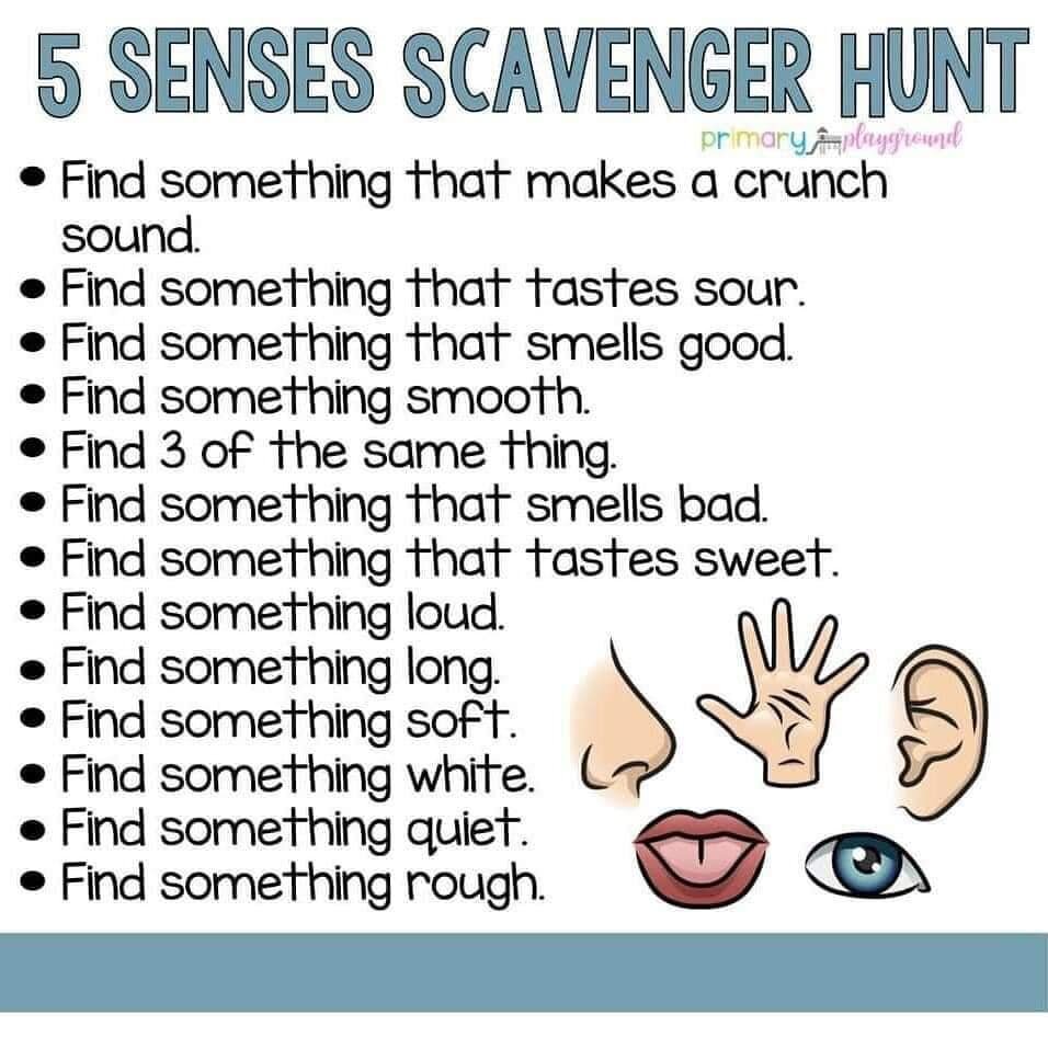 5 senses scavenger.jpg