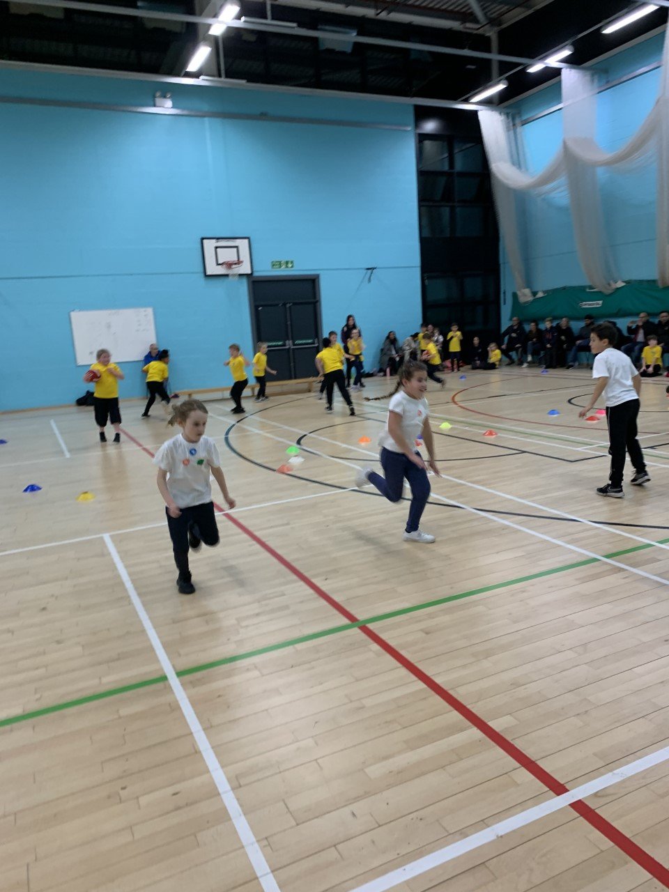 ireland wood dodgeball.jpg