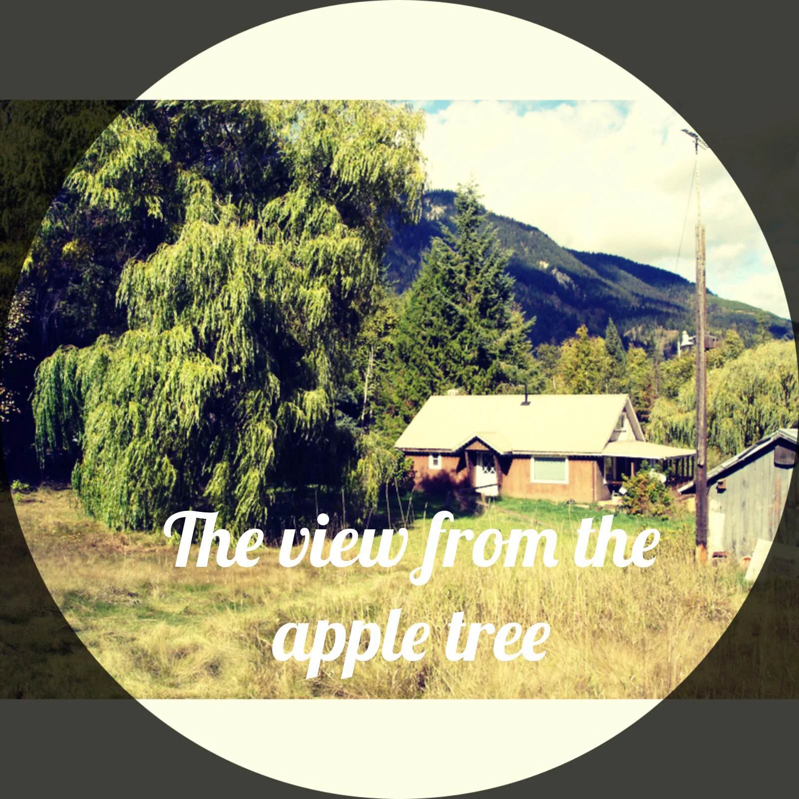 The view from the apple tree.jpg