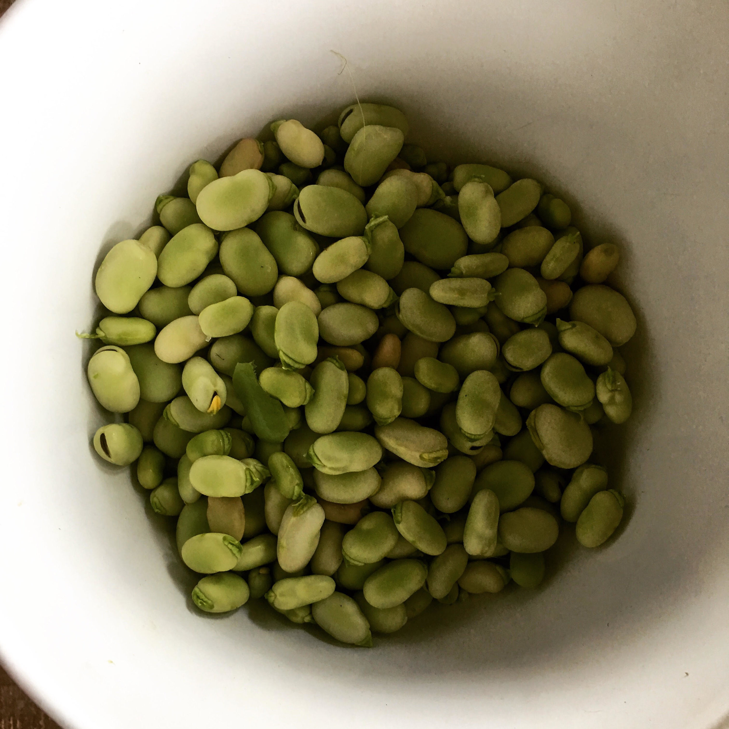 broad beans in a bowl.jpg