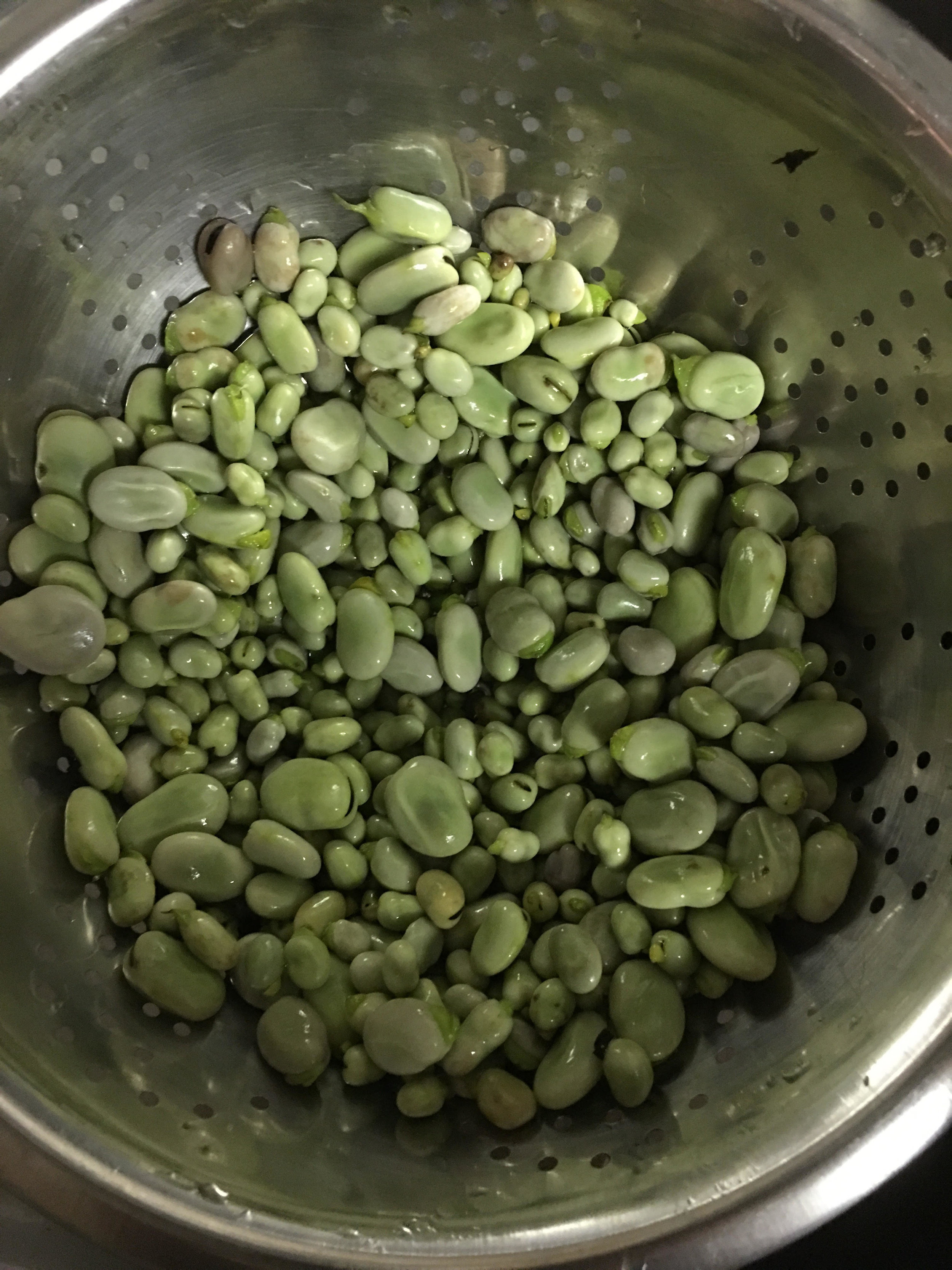 boiled fava and broad beans.jpg