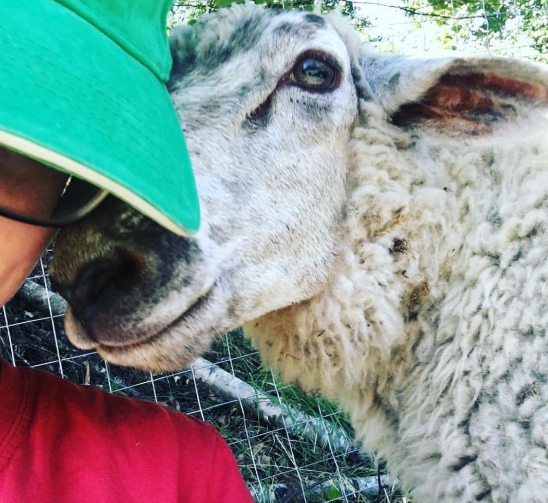 Nelson, all grown up, and quite the cuddler.