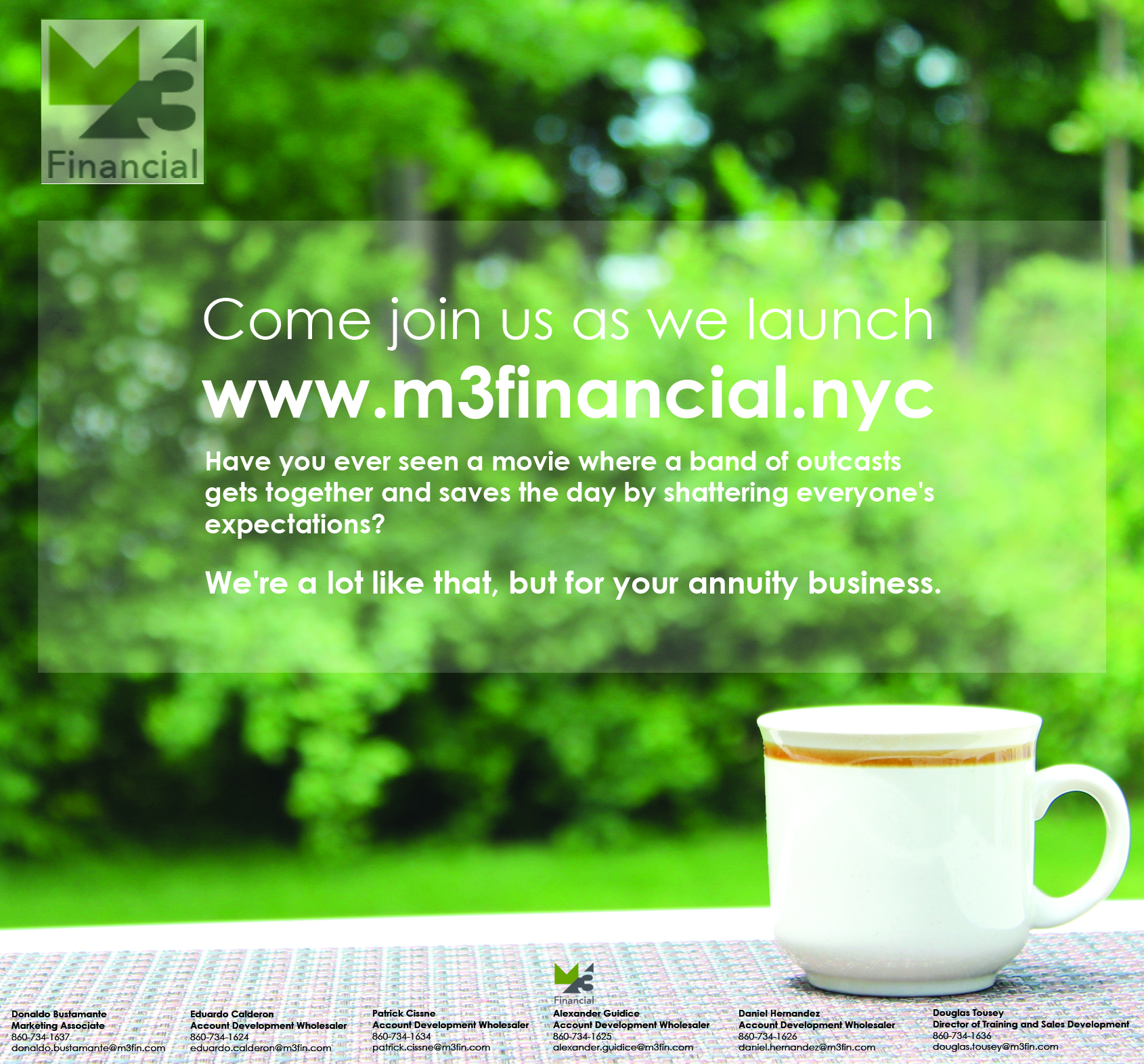 Website Advertisement