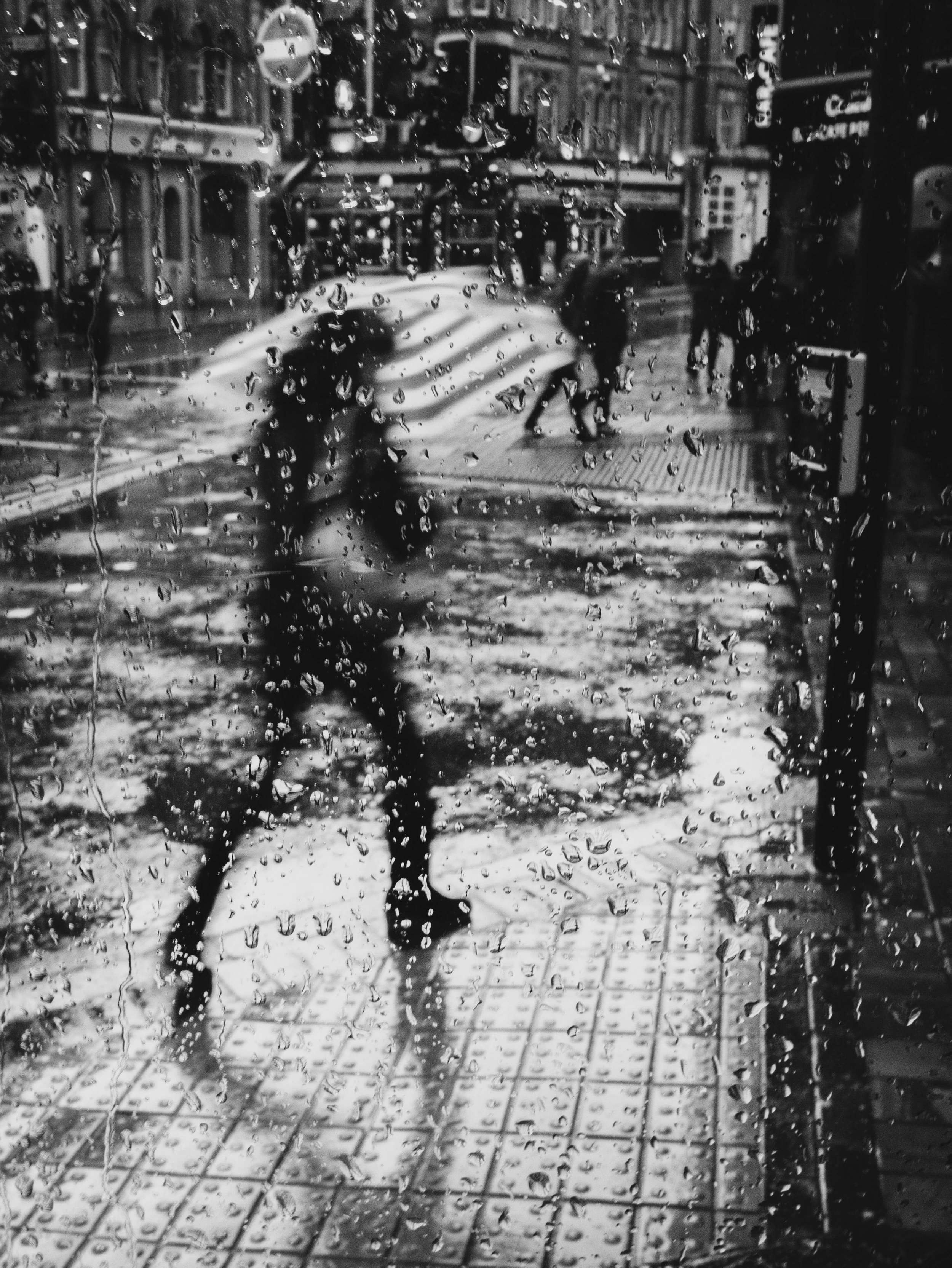Through The Rain Drops