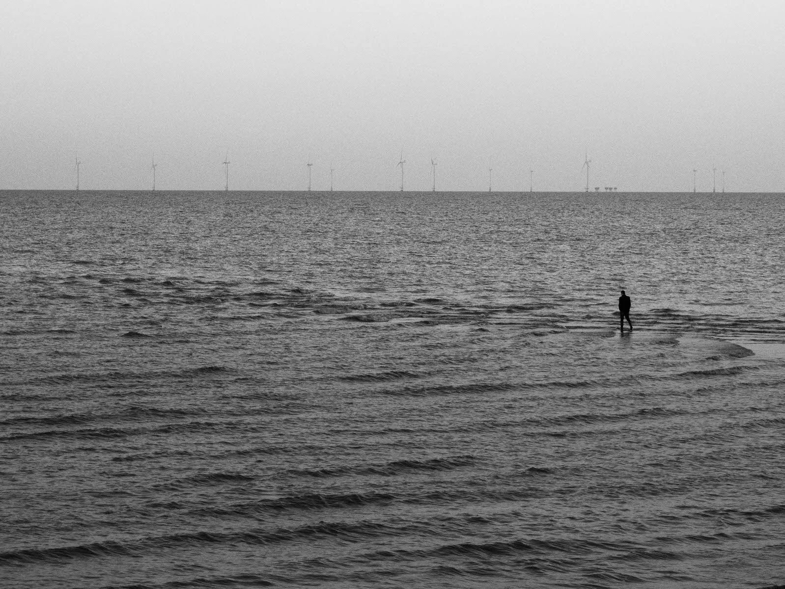 P1040524.jpg