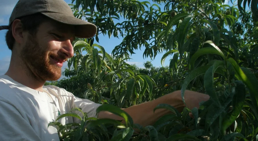 by Chris Negronida Bartender at FLCH, Orchard Manager at West Haven Farm and essential staff at Black Diamond Farm
