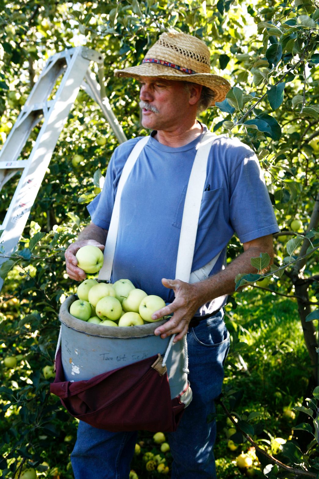 Black Diamond Farm and Cider owner Ian Merwin, with a basket of Calville blanc .