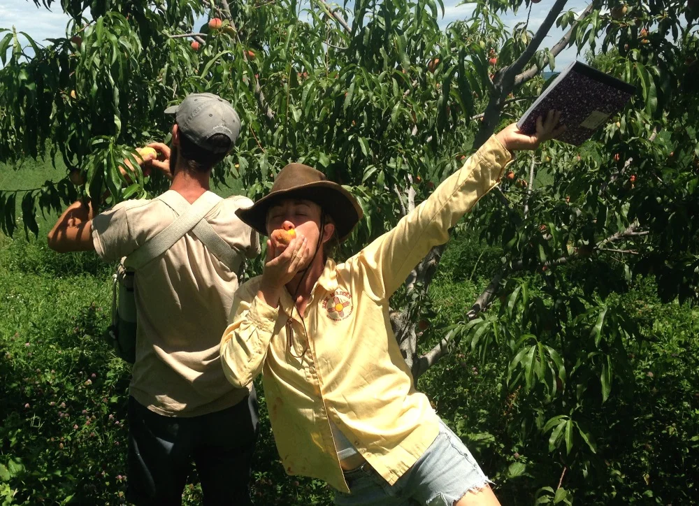 Peach Celebration at Good Life Farm